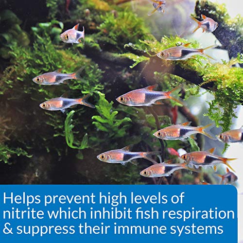 API NITRITE TEST KIT 180-Test Freshwater and Saltwater Aquarium Test Kit - size: 180 tests
