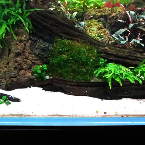 LINLAN 9 Pieces 3.1X3.1in (8X8cm) Aquarium Moss Mesh, 304 Stainless Steel Aquatic Moss Wall, Easy to Cut, for Fixing and Propagating Aquatic Mosses, DIY Aquarium Filtration, and Aquascaping - size: 9 PCS
