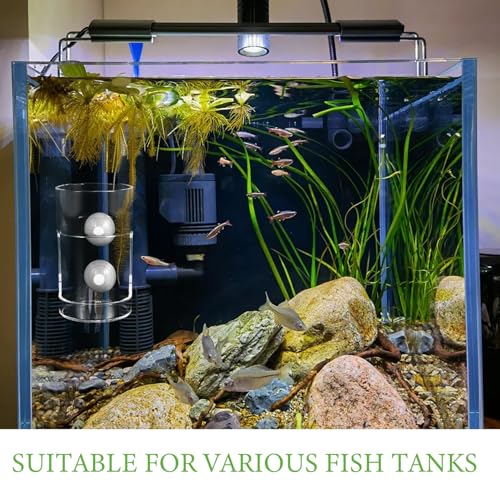 Aquarium Fish Feeder Cup with Suction Cup Sinking Anti-Scattering Fish Tank Feeding Tool for Precise Feeding for Home and Travel Use