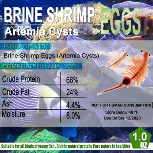 Bubble Magus Brine Shrimp Eggs/sea Monkey Eggs/Live Fish Food/Fairy Shrimp Egg Artemia high Protein Fish Food for brine Shrimp Hatchery 、 Clownfish Food 、 Reef roids Coral Food 、Feeder Guppies、beta - size: 0.5 Ounce (Pack of 1)