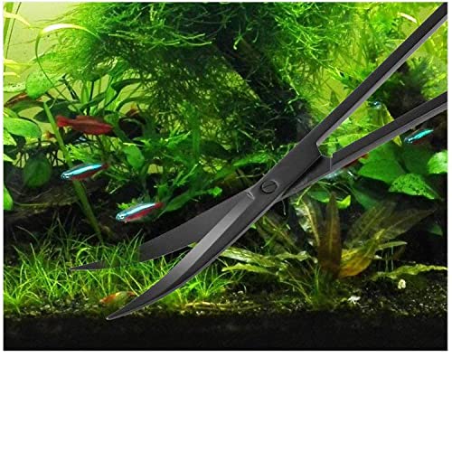 A2Z-Aquascaping Maintenance Tools Accessories,Anti-Rust Stainless Steel Tweezers Scissors Spatula for Aquarium Tank Clean, Fish Tank, Bonsai, Algae Scrapers (12" Scissors - Curved - Black) - size: 12" Scissors - Curved - Black
