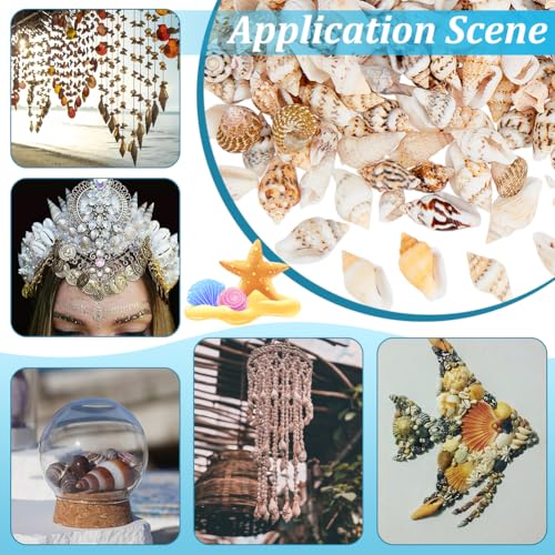 PH PandaHall 1400-1500pcs Tiny Sea Shells 7-12mm Tiny Crushed Shells Miniature Shell NO Hole Seashells Ocean Spiral Seashells for Resin Crafting Candle Home Party Wedding Fish Tank Vase Filler - color: 1400pcs, size: Length 7-12mm