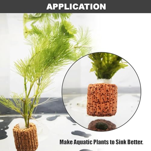 10PCS Plant Securing Ring 25mm Ceramic Cultivation Ring Base Suitable for Fish Tank and Aquarium Landscaping