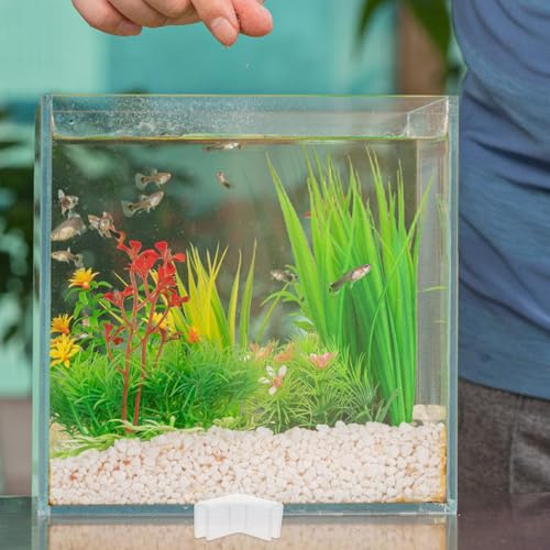 HOMSFOU 10pcs Silicone Corner Guards 90° L-Shaped Furniture Edge Protectors for Aquarium Fish Tank Safety Table Corner Bumpers 5mm Thickness