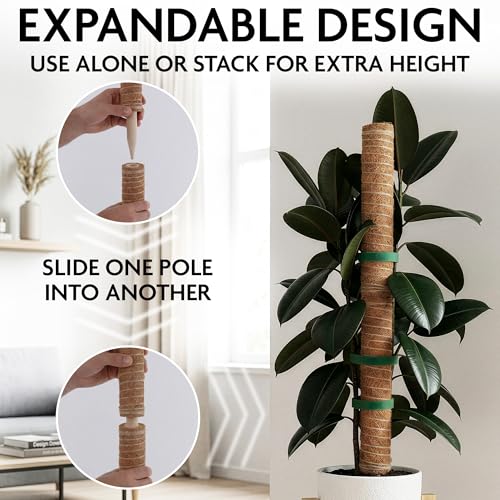 2 Pcs Moss Pole Small Sized with Coconut Fiber and Plant Tie Tape | Set of 2 Small Moss Pole for Plants like Monstera, Pothos, and Philodendron Vines; Stackable for Climbing Plants, Easy Insert