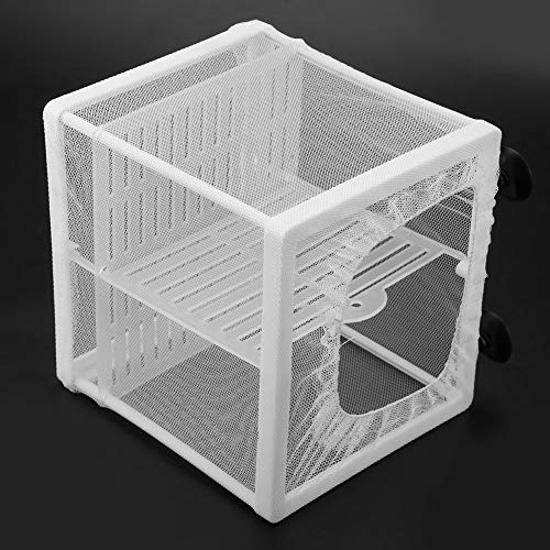 Fish Breeder, Large Breeder Net with Suction Cups, Nylon Mesh Fish Fry Hatchery Isolation Box Separation Net for Fish, Plants, Shrimp on Aquarium Tank, 6.2 x 6.2 x 5.5in