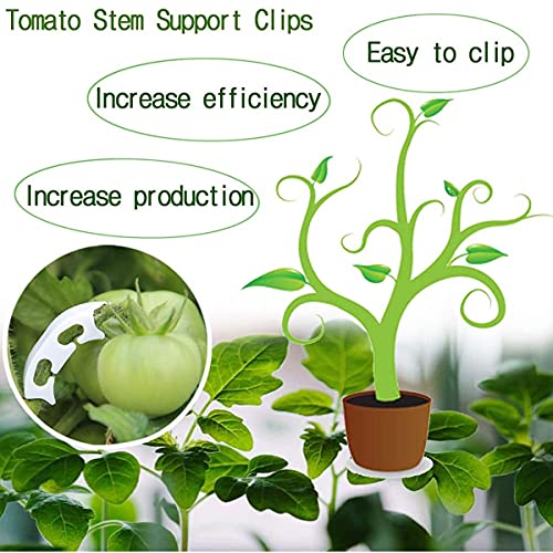 Spencer 200 Pcs Plant Support Clips - 100 Pcs Tomato Vine Clips (1.18” Inner Diameter) and 100 Pcs Plant Bender (1.57” in Length) for Garden Plants Fruits Vegetables - size: 100 Pcs + 100 Pcs