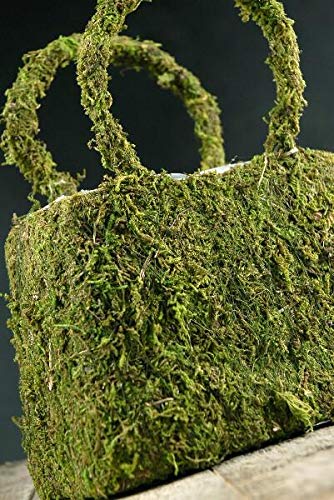 Richland Natural Preserved Moss Covered Purse Planter 8.75" - color: Green, size: 8.75‘’