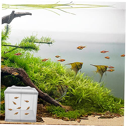 balacoo 2pcs Aquarium Fish Breeder Net Separation Hatchery Design Divider for Guppy Fry Incubation Easy to Install Box for Tanks