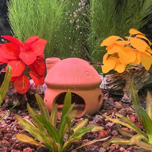 Pottery Ceramic Jar Vase Cichlid Fish Shrimp Breed Habitat (Red Clay, 2pcs) | natural ceramic non-toxic, promote health vitality, sense of security and comfort - color: Red Clay, 2pcs