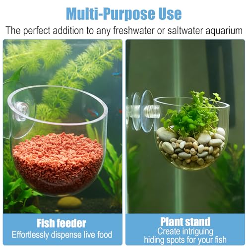 Fish Tank Plant Holder, 3 Pcs ABS Suction Cup Plant Holder Clear Aquarium Plant Holder Aquatic Plant Pots for Aquascape Decoration, Red Worm Fish Shrimp Feeder