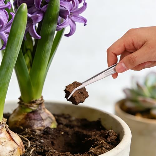 Seedling Transplant Tong & 3pcs Tweezers Set, Stainless Steel Long Thin Seed Starter Seedling Transplanting Pliers Gardening Planting Tool Stuffer Supplies for Plant Lowering Root Damage (Silver)