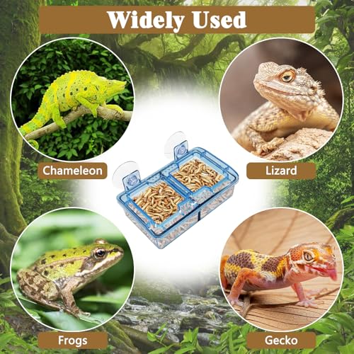Hamiledyi Transparent Reptile Feeder with Suction Cup Separated Double Compartments Chameleon Bowl Gecko Live Worm Feeder Anti-Escape Reptile Supplies for Lizard Bearded Dragon (Blue, 2 Pcs) - color: Blue