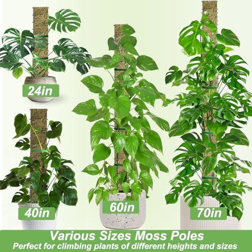 24" Metal Moss Pole, D Shape Sphagnum Moss Pole, Moss Poles for Climbing Plants, Monstera, Indoor Climbing Plants (2Pcs 24") - style: 2Pcs 24"