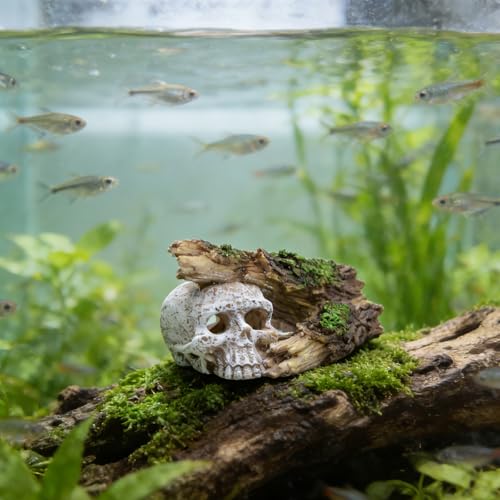 Skull Fish Tank Decor, Resin Aquarium Cave with Realistic Tree Trunk, Hollow Hideout for Betta Fish, Shrimp and Small Fish, Gothic Aquarium Ornament, 5.7 in