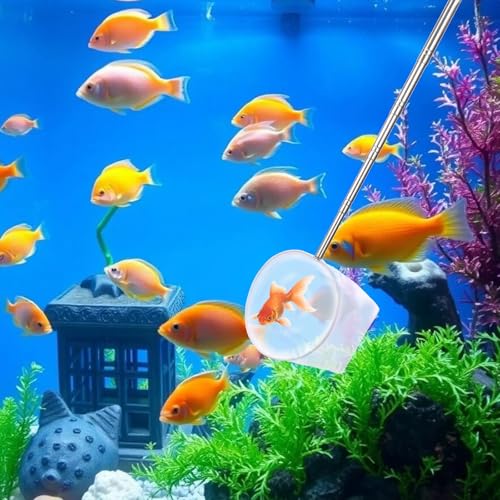4 Inch Aquarium Net, Fish Net for Fish Tank with 8.6" to 39" Long Extendable Stainless Steel Handle Blue Round Small Aquarium Fine Mesh Shrimp Nets Pond Food Residue Debris Skimming for Fishes Shrimp