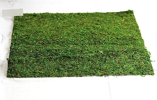 Preserved Moss Runner and Mats (18in x 16in mat) - color: 18in X 16in Mat
