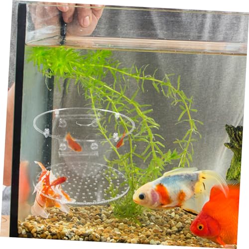 FOMIYES Fish Breeding Box Aquarium Accessory Isolation Box for Fish Tank for Shrimp for Observation and Breeding