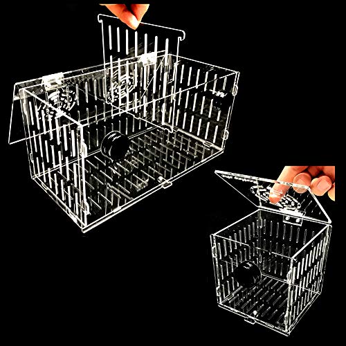 Magnetic Acclimation Box Large / 16x6x8 - size: 16"x6"x8"