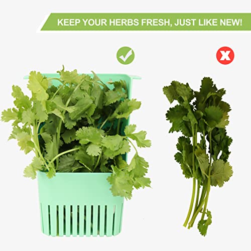 LUVCOSY 3 Pack Herb Keeper, BPA-Free Plastic Herb Saver with an Inner Basket for Cilantro, Mint, Parsley, and Asparagus, Keeps Fresh Herbs for 3 Times Longer - color: Herb Keeper - Green & Orange & Blue