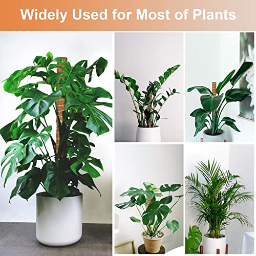 Moss Pole for Plants Monstera,【6 Pack】 17 inch Plant Support Pole, Extendable Coir Totem Pole for Potted Plants Pothos, Train Indoor Climbing Plants to Grow Upwards - size: 6 Pack 17 inch