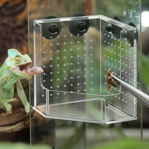 Weysat Reptile Corner Hunting Bowl, Transparent Acrylic Reptile Feeder Box with 4 Suction Cups, Tank and Aquarium Accessories for Lizard Bearded Dragon Chameleon Gecko Frog, 3.9 x 3.9 x 6.1 Inches