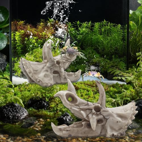 Dinosaur Skull Aquarium Decoration,Fish Tank Décor, 6.7"x3.5"x4.4" | Hideaway for Fish, Natural Look, Fun Underwater Environment - size: 6.7"
