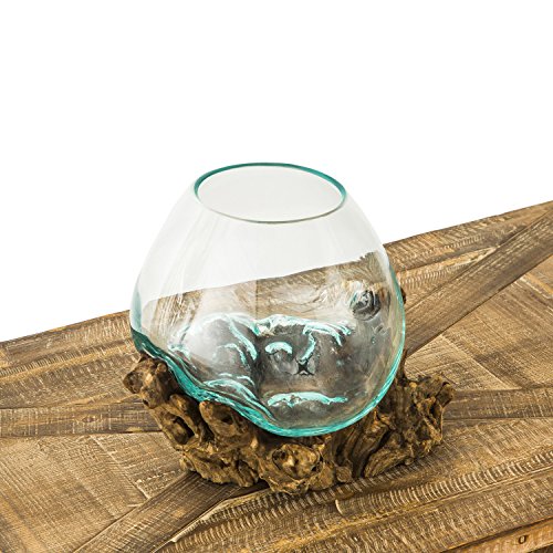 Cape Craftsmen 10" Hand-Blown Blue Tinted Bubble Glass On Natural Teak Driftwood Terrarium Kit | Home Décor Indoor Planter with Stand | Pot for Succulent and Plants - size: Medium (With Stand)