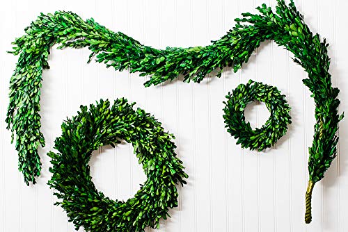 Richland Preserved Boxwood Garland 70" - color: Green, size: 70''
