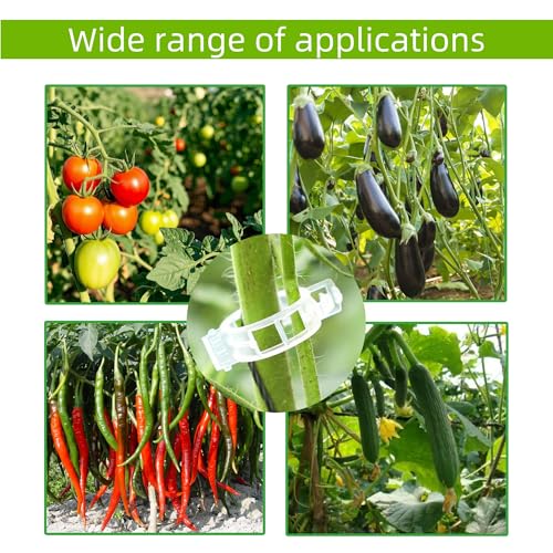 CIQIYO® 100 Pcs Plant Support Clips,Plastic Clips for Securing Plants | Plant Fixing Clips,Tomato Vine Clips,Garden Clips for Climbing Plants,Grape and Vine Vegetables,Reusable(100, Green) - color: Green