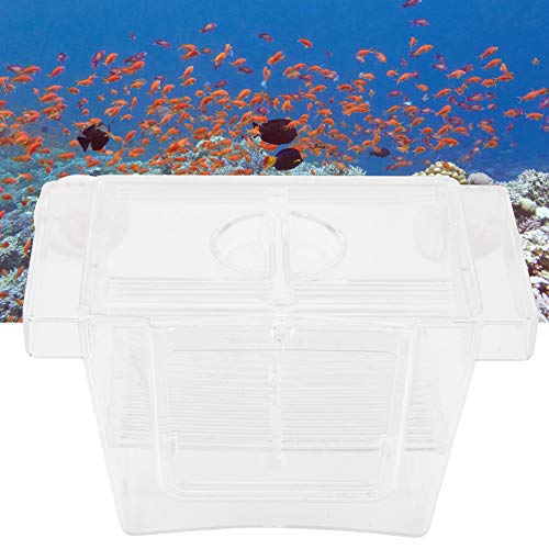 Split Fish Betta 5 Gallon Fish 14 X 8 X 8 Acrylic Aquarium Fish Breeding Box Incubation Box Small Size