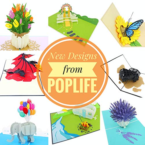 PopLife Holiday Cat Pop Up Christmas Card, Handmade 3D Greeting, Blank Merry Christmas Note, Small Stocking Present for Friends and Family, Card for Cat Lovers - color: Holiday Cat