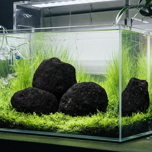 6.1-8.1 Inches Natural Black Lava Rock, 4 PCS Large Aquarium Rocks for Aquascaping, Terrariums, Reptile Tanks & Aquarium Décor - size: 6.1-8.1 in
