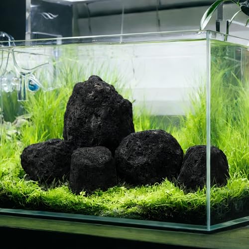 2.2-8.1 Inches Natural Black Lava Rock, 5 PCS Mixed Sizes Aquarium Rocks for Aquascaping, Terrariums, Reptile Tanks & Aquarium Décor - size: 2.2-8.1 in