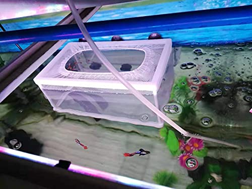 Fish Nursery for Aquarium-Fish,Aquarium Fish Breeder Box, Hatching Box, Juvenile Fish Spawning Incubator, Water Isolation Net Hatchery、Fish Isolation Box 25 x 14 x 15cm - color: rectangle
