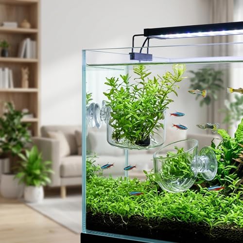 5pcs Aquarium Plant Holder Set, Fish Tank Plant Holder, Fish Tank Accessories for Aquascaping, Aquarium Plant Arrangement