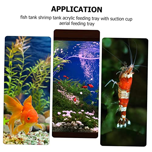 BESPORTBLE 5pcs Fish Feeder Tray Food Holder for Aquariums Easy to Install Cup Design Compact for Fish and Shrimp Feeding Practical Aquarium Accessory