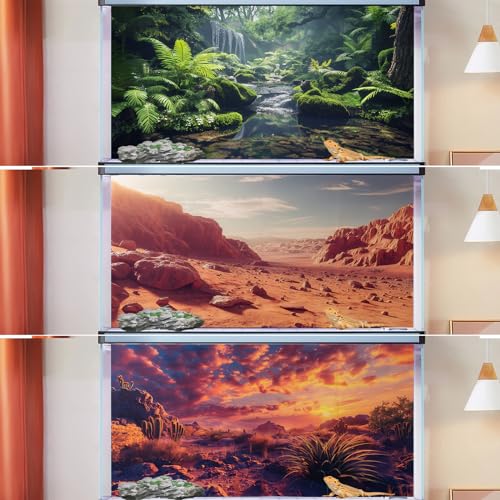 3 Pack Terrarium Background, 36x18 inch Polyester Reptile Background | Cloth Terrarium Background, Gobi Sunshine Cactus Stone & Green Tree Fern Stream Backgrounds, Backgrounds for Reptile Tank - size: 36x18 Inch