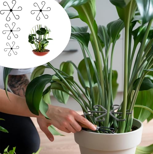 Reusable Plant Stem Supports for Indoor Plants - 4 Sizes, Durable Plastic Holders Easy Clip Hooks Growth Accessories for Climbing Plants Like Monstera Pothos and Vines