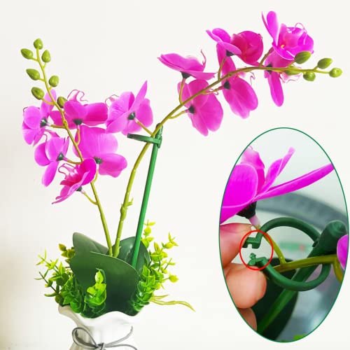 Belit 8 Pack Small Plant Support Plant Stakes, Adjustable Garden Single Stem Support Stake, Planter Support Ring for Orchid, Rose, Peony, Peppers and More, 16 inch - size: 15.7 Inch