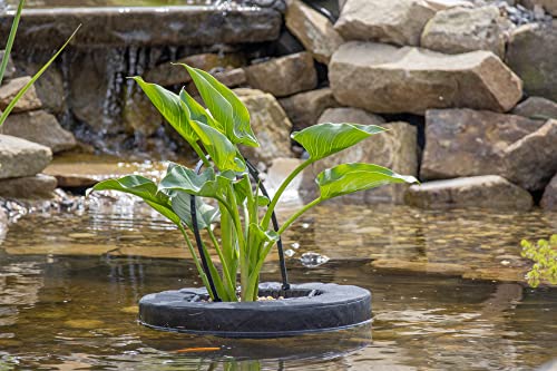 PondH2o 10" Round Floating Aquatic Pond Planter Baskets, 2 Pack