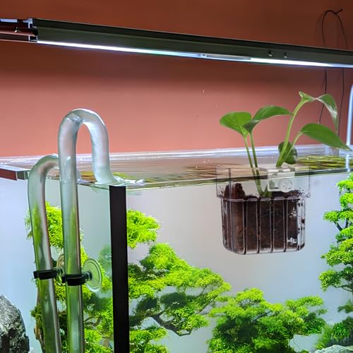 NOLITOY 4 Pack Aquarium Plant Cups Clear Acrylic Hanging Aquarium Plant Holder with Bottom Holes and Screw Fixture Fish Tank Pots for Live Plants Accessories