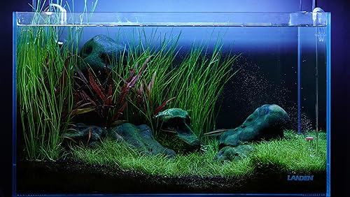 Acrylic CO2 Diffuser for Aquarium 10-30 Gallon Ceramic Disc Planted | Acrylic diffuser, ceramic disc; fine mist - size: S-13mm