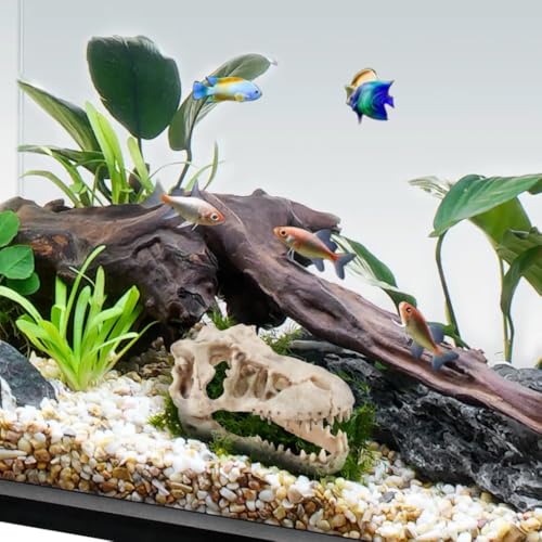 Dinosaur Skull Aquarium Decoration,Fish Tank Décor,6.3"x4"x4" | Hideaway for Fish, Natural Look, Fun Underwater Environment - size: 6.3"