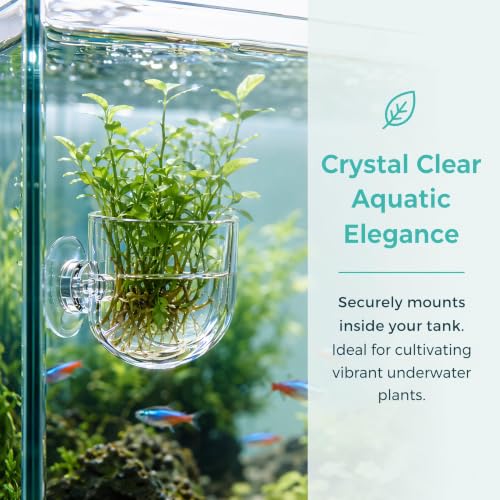 2Pcs Aquarium Plant Pot Set, Glass Fish Tank Plants Holder Aquarium Planter, Decoration Plants Cup with Suction Cups