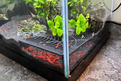 Aquarium Shrimp Tank Decorations | Corner Shrimp Hide | Shrimp Cave | Breeding Shrimp Hide | Shrimp Tunnel - size: Corner Hide