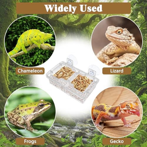 Hamiledyi Transparent Reptile Feeder with Suction Cup Separated Double Compartments Chameleon Bowl Gecko Live Worm Feeder Anti-Escape Reptile Supplies for Lizard Bearded Dragon (White, 2 Pcs) - color: White