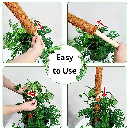 Moss Pole for Plants Monstera, 2 Pack 23.6 inch Plant Support Pole, Extendable Coir Totem Pole for Potted Plants Pothos,Train Indoor Climbing Plants to Grow Upwards - Extends to 40.6 Inches - size: 2 Pack 23.6 inch