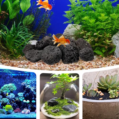 FOMIYES 1 Pack of Natural for Aquariums and Potted Plants, Small Volcanic Stones for Decorative Use, Ideal for Landscaping and Drainage