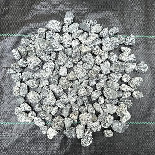 11 Pounds of Big Dalmatian Granite Stones 1" to 2" Size, Rocks Gravel Pebbles for Landscaping, Terrariums, Aquariums, Gardens, Pond Water Features, Flower Pots, Decorative Walkways, Bonsai, etc